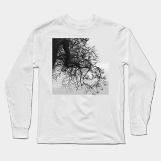 Bare Tree Branches Winter Long Sleeve T-Shirt